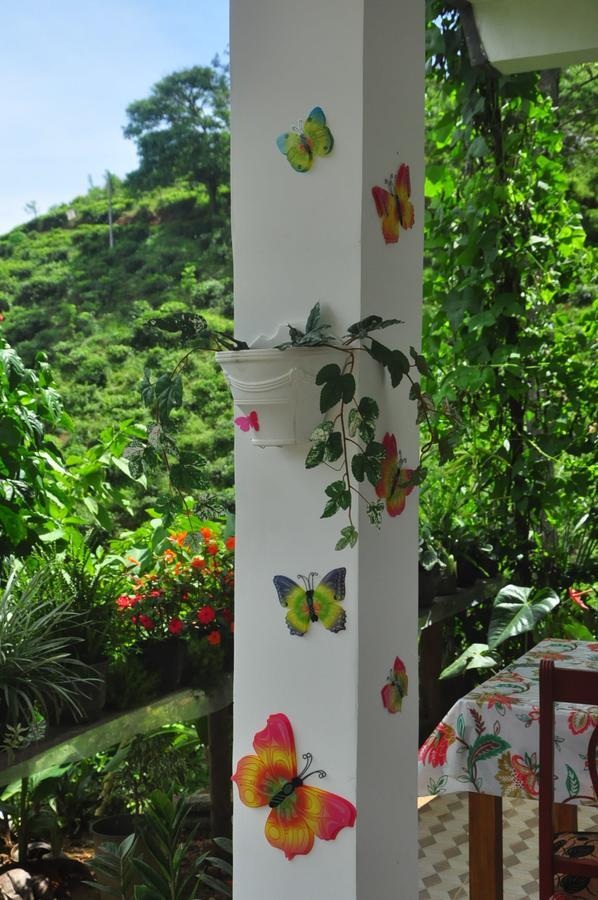 Nature Relax Ella Exterior photo